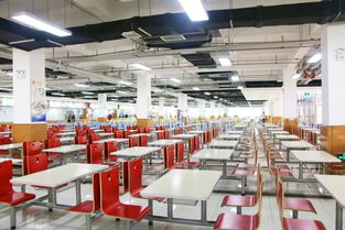 筑牢校園食安防線 打造健康成長環境——保定市省級校園食品安全標準食堂觀摩培訓會在長城學校成功舉辦